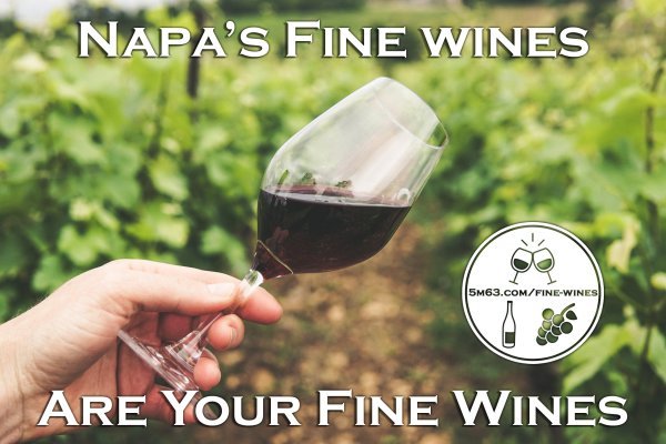 Napas Fine Wines.jpg