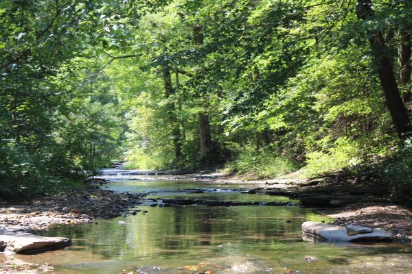 creek photo.JPG